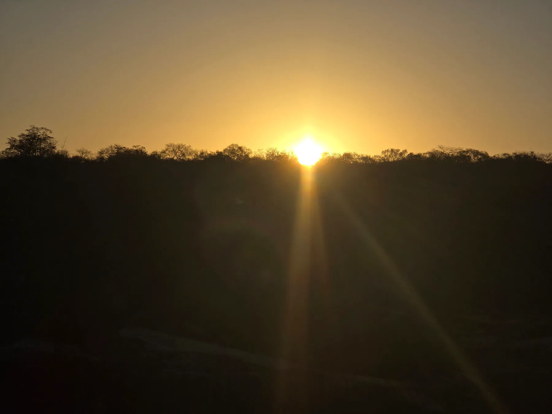 Nascer do sol sobre a Caatinga no Sítio João Pimenta