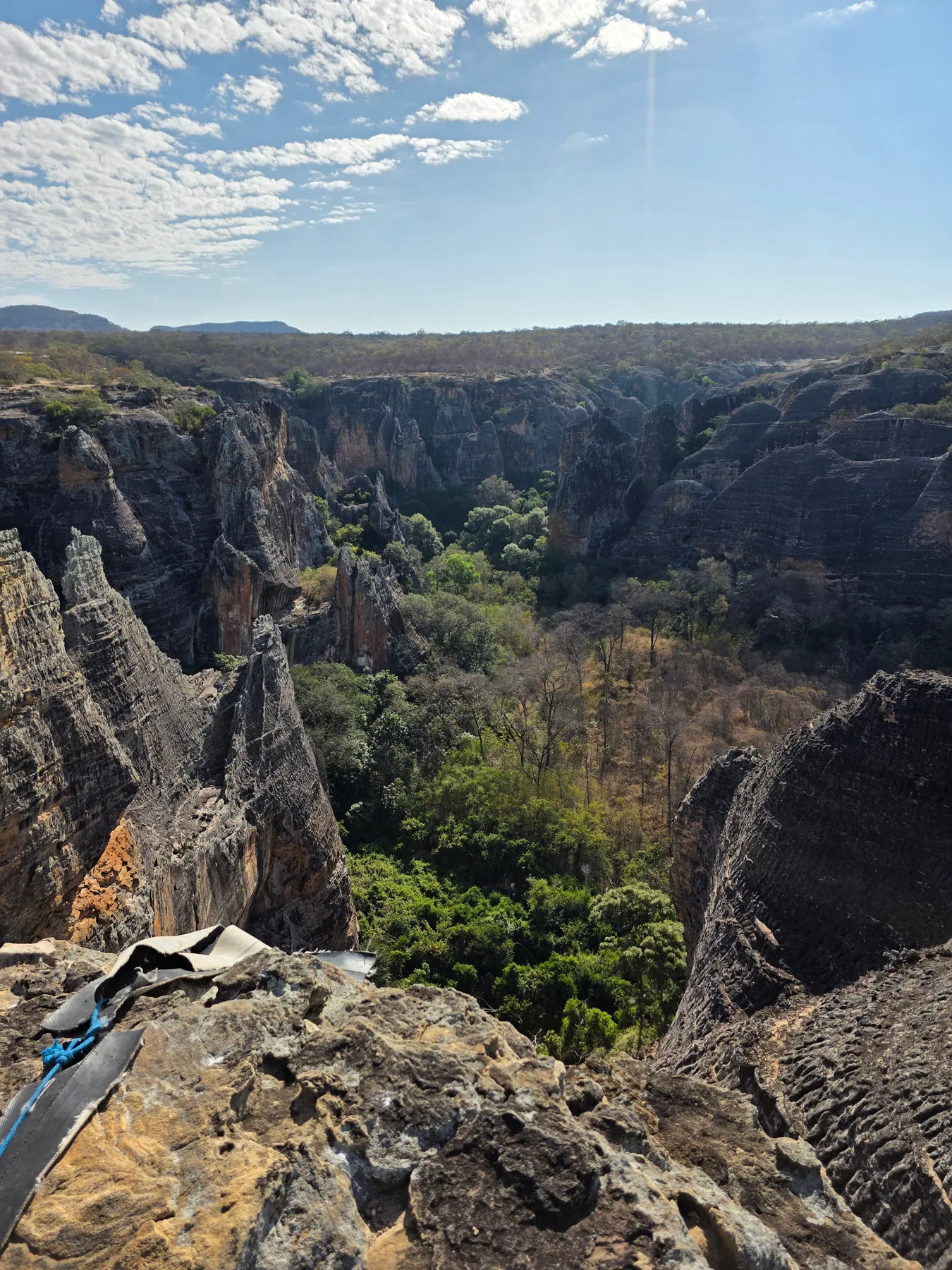 Descubra a Caatinga em Nossas Trilhas Ecológicas